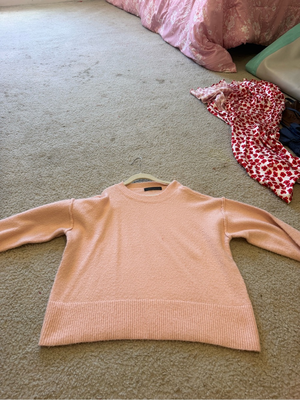 Sanctuary Blush Crewneck Sweater